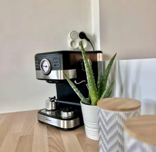 Tres Bel Vue * Six-Fours-les-Plages